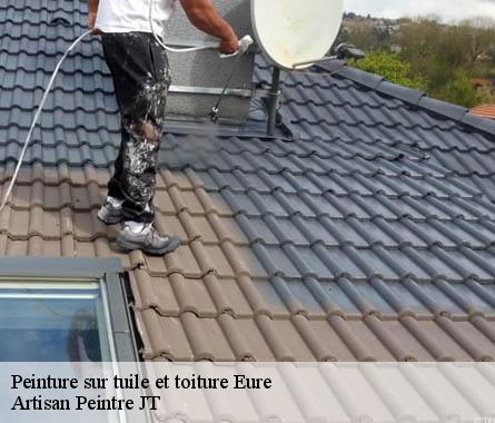 Peinture sur tuile et toiture 27 Eure  Artisan Peintre JT
