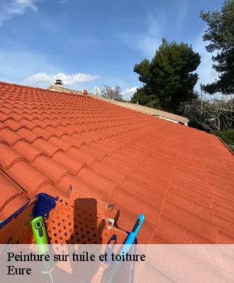 Peinture sur tuile et toiture Eure 