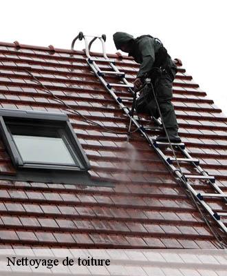 Nettoyage de toiture Eure 