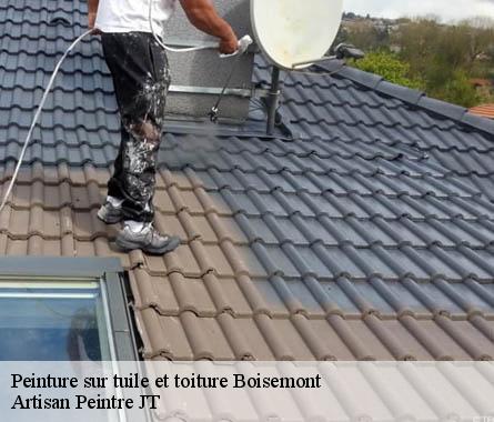 Peinture sur tuile et toiture  boisemont-27150 Artisan Peintre JT