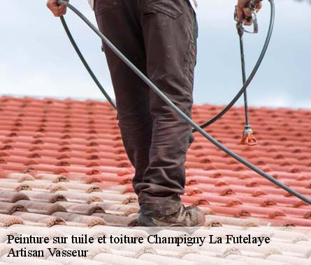 Peinture sur tuile et toiture  champigny-la-futelaye-27220 Artisan Vasseur