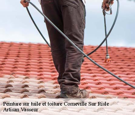 Peinture sur tuile et toiture  corneville-sur-risle-27500 Artisan Vasseur
