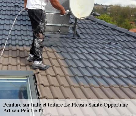Peinture sur tuile et toiture  le-plessis-sainte-opportune-27170 Artisan Peintre JT