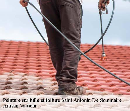 Peinture sur tuile et toiture  saint-antonin-de-sommaire-27250 Artisan Vasseur