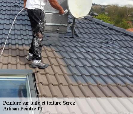 Peinture sur tuile et toiture  serez-27220 Artisan Peintre JT
