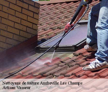Nettoyage de toiture  amfreville-les-champs-27380 Artisan Vasseur