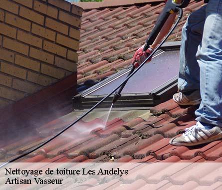 Nettoyage de toiture  les-andelys-27700 Artisan Vasseur