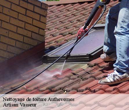 Nettoyage de toiture  authevernes-27420 Artisan Vasseur