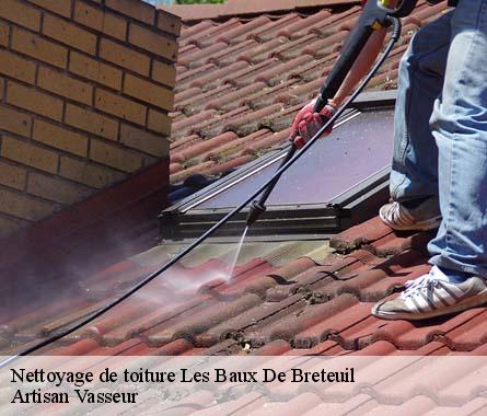Nettoyage de toiture  les-baux-de-breteuil-27160 Artisan Vasseur