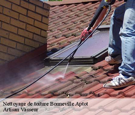 Nettoyage de toiture  bonneville-aptot-27290 Artisan Vasseur
