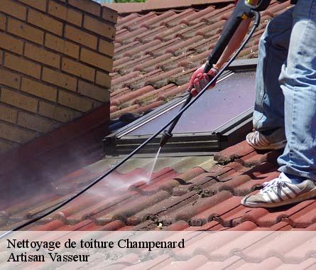 Nettoyage de toiture  champenard-27600 Artisan Vasseur