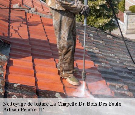 Nettoyage de toiture  la-chapelle-du-bois-des-faulx-27930 Artisan Peintre JT