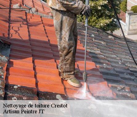 Nettoyage de toiture  crestot-27110 Artisan Peintre JT