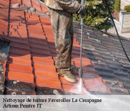 Nettoyage de toiture  faverolles-la-campagne-27190 Artisan Peintre JT