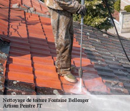 Nettoyage de toiture  fontaine-bellenger-27600 Artisan Peintre JT