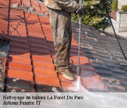 Nettoyage de toiture  la-foret-du-parc-27220 Artisan Peintre JT