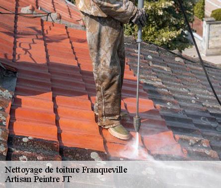 Nettoyage de toiture  franqueville-27800 Artisan Vasseur