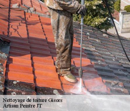 Nettoyage de toiture  gisors-27140 Artisan Peintre JT