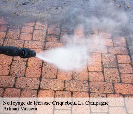 Nettoyage de terrasse  criquebeuf-la-campagne-27110 Artisan Vasseur