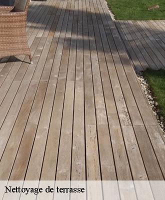 Nettoyage de terrasse  27150
