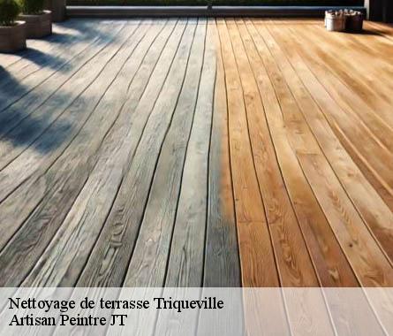 Nettoyage de terrasse  triqueville-27500 Artisan Peintre JT