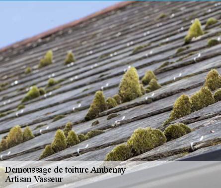 Demoussage de toiture  ambenay-27250 Artisan Vasseur