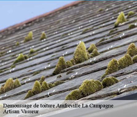 Demoussage de toiture  amfreville-la-campagne-27370 Artisan Vasseur