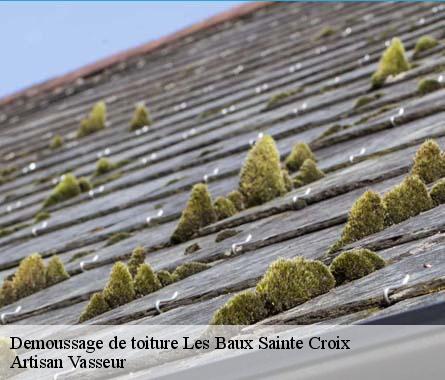 Demoussage de toiture  les-baux-sainte-croix-27180 Artisan Vasseur