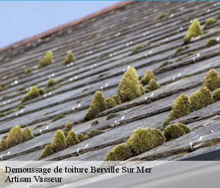 Demoussage de toiture  berville-sur-mer-27210 Artisan Vasseur