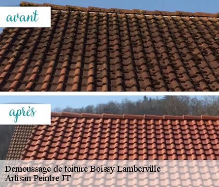 Demoussage de toiture  boissy-lamberville-27300 Artisan Peintre JT