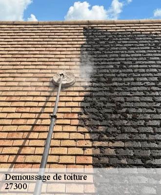 Demoussage de toiture  27300