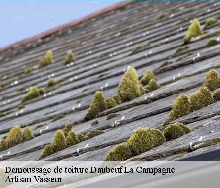 Demoussage de toiture  daubeuf-la-campagne-27110 Artisan Vasseur