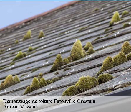 Demoussage de toiture  fatouville-grestain-27210 Artisan Vasseur