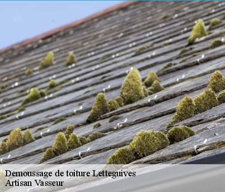 Demoussage de toiture  letteguives-27910 Artisan Vasseur