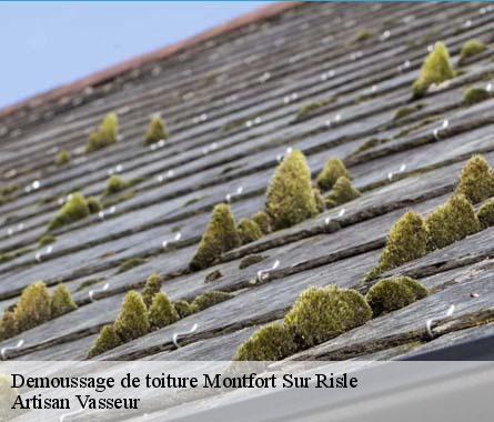 Demoussage de toiture  montfort-sur-risle-27290 Artisan Vasseur