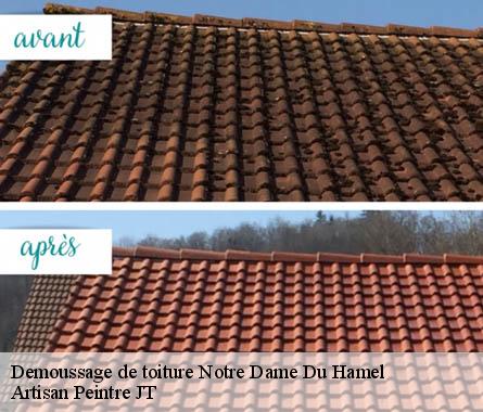 Demoussage de toiture  notre-dame-du-hamel-27390 Artisan Peintre JT