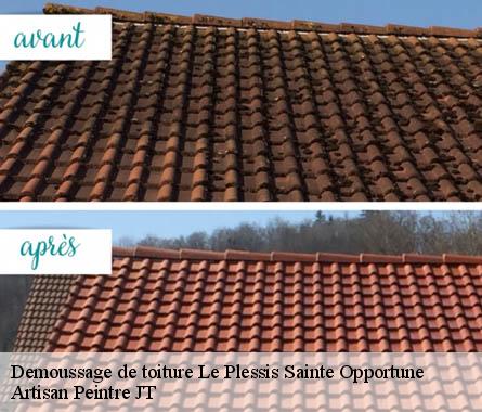 Demoussage de toiture  le-plessis-sainte-opportune-27170 Artisan Peintre JT