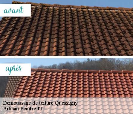 Demoussage de toiture  quessigny-27220 Artisan Peintre JT