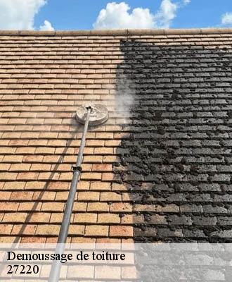 Demoussage de toiture  27220