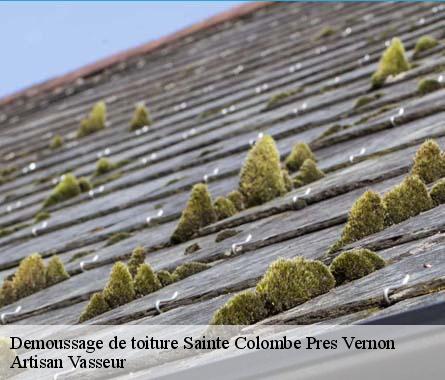 Demoussage de toiture  sainte-colombe-pres-vernon-27950 Artisan Vasseur