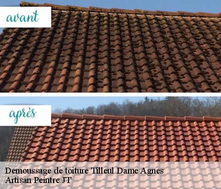 Demoussage de toiture  tilleul-dame-agnes-27170 Artisan Peintre JT
