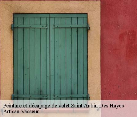 Peinture et décapage de volet  saint-aubin-des-hayes-27410 Artisan Vasseur