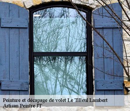 Peinture et décapage de volet  le-tilleul-lambert-27110 Artisan Peintre JT