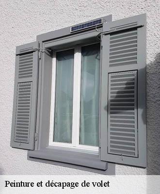 Peinture et décapage de volet  27380